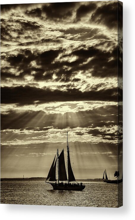 Florida Keys Acrylic Print featuring the photograph Nature's Artistry by Phil Marty