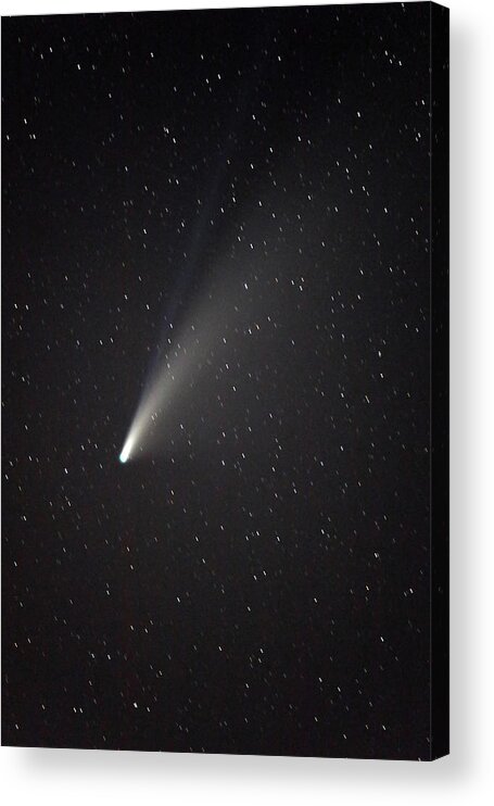 Neowise Acrylic Print featuring the photograph Neowise-1 by Jean Clark