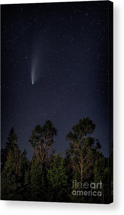 Neowise Acrylic Print featuring the photograph Neowise Stars Comet Print by Terry Hrynyk