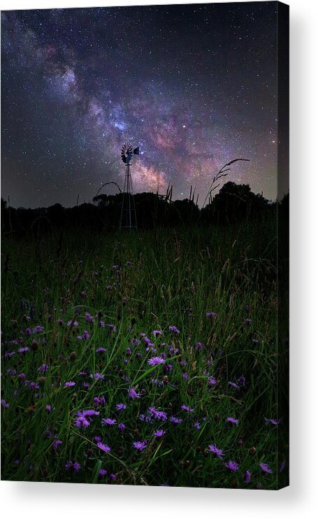 Wildflowers Acrylic Print featuring the photograph Night Blooms by Bill Wakeley