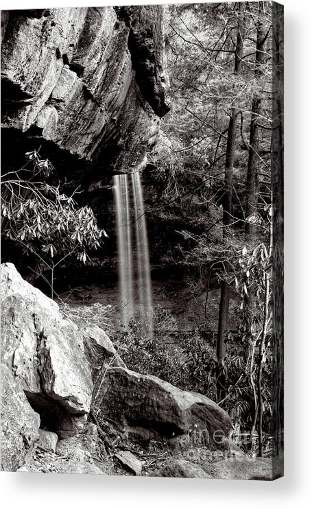 Northrup Falls Acrylic Print featuring the photograph Northrup Falls 23 by Phil Perkins