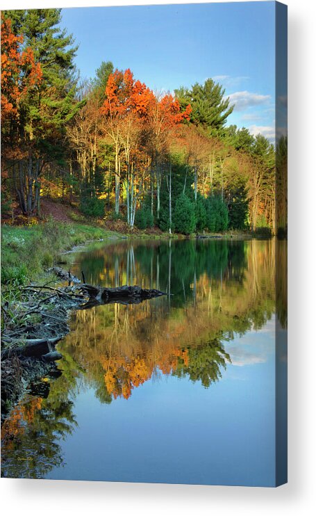 Autumn Acrylic Print featuring the photograph Oakley Corners State Forest by Christina Rollo