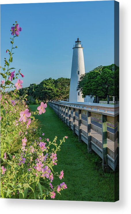 North America Acrylic Print featuring the photograph Ocracoke Light and Mallows by Liz Albro
