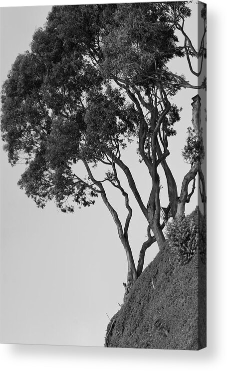 Cliff Acrylic Print featuring the photograph On the Edge by Gina Cinardo