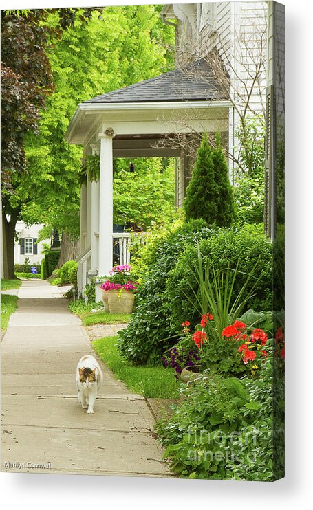 Flowers Acrylic Print featuring the photograph On the Garden Walk by Marilyn Cornwell