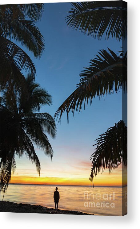 Vertical Photo Acrylic Print featuring the photograph Open eyes dream by Yuri Santin