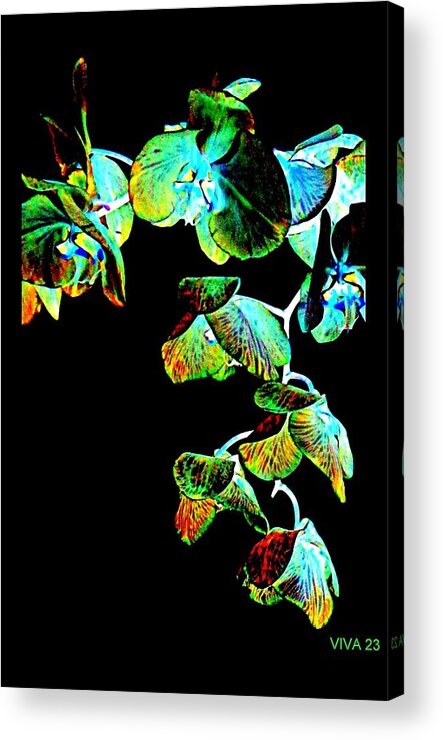 Orchids Fantasy Acrylic Print featuring the digital art Orchids - A Fantasy by VIVA Anderson