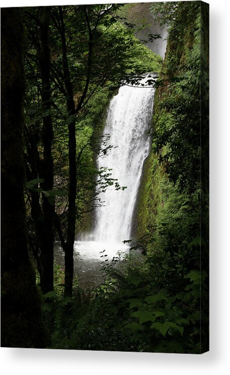 Waterfall Acrylic Print featuring the photograph Oregon Drop by Jim Whitley