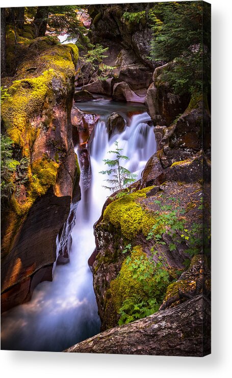 Avalanche Gorge Acrylic Print featuring the photograph Out On A Ledge by Ryan Smith