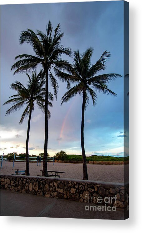 Rainbow Acrylic Print featuring the photograph Palm Tree Rainbow, South Beach, Miami, Florida by Beachtown Views