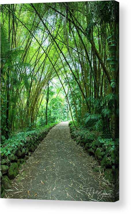 Hawaii Acrylic Print featuring the photograph Paradise Path 5 by T Phillip Spencer