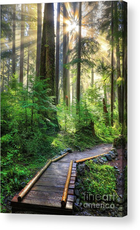 America Acrylic Print featuring the photograph Pathway into the Light by Inge Johnsson