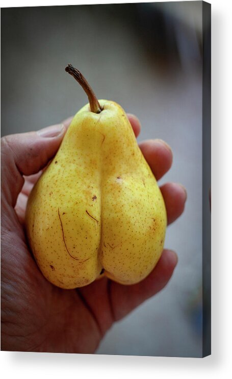 Pear Acrylic Print featuring the photograph Pear by Jim Whitley