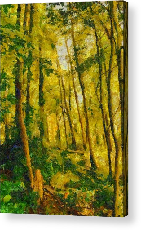 Woods Acrylic Print featuring the mixed media Pennsylvania Woods by Christopher Reed