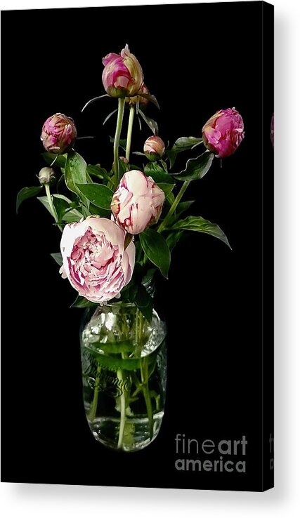 Art Acrylic Print featuring the photograph Peony Bouquet by Jeannie Rhode