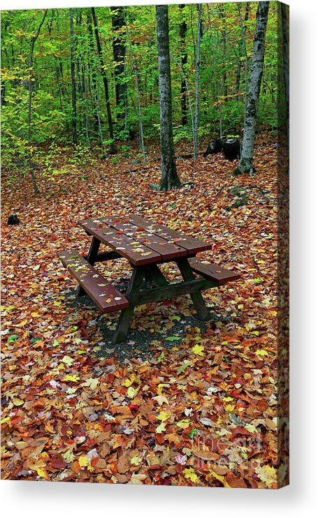 Fall Acrylic Print featuring the photograph Picnic table. Autumn by Kevin Shields