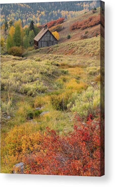 Fall Acrylic Print featuring the photograph Picturesque Barn In Fall by Denise Bush
