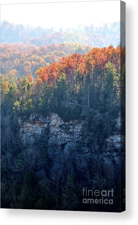 Nature Acrylic Print featuring the photograph Point Trail At Obed 5 by Phil Perkins