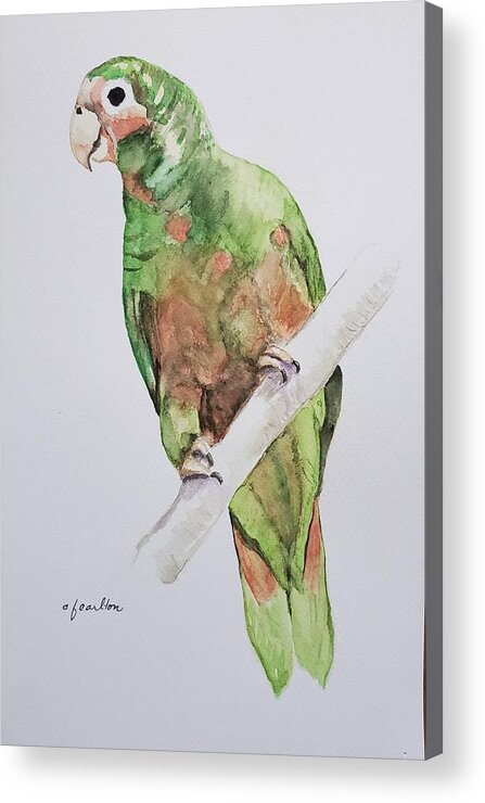 Parrot Acrylic Print featuring the painting Polly - Watercolor by Claudette Carlton