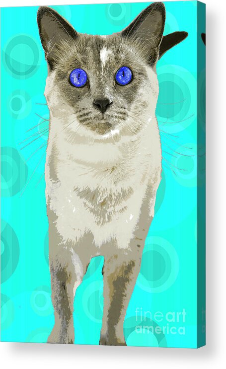 Cat Acrylic Print featuring the photograph PopART Siamese Kitty by Renee Spade Photography