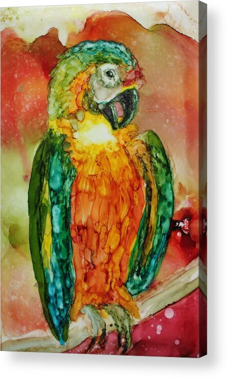 Macaw Acrylic Print featuring the painting Preening Parrot by Ruth Kamenev