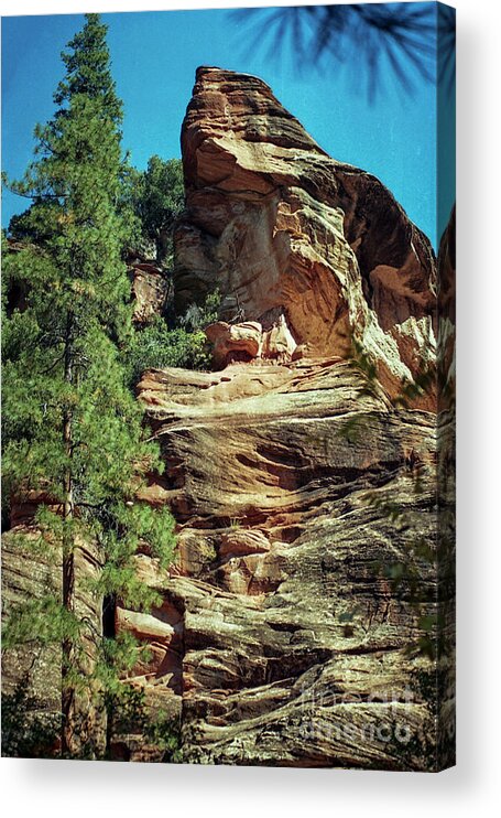 Arizona Acrylic Print featuring the photograph Psalm 18-2 by Kathy McClure