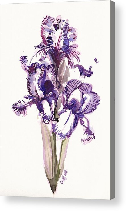 Iris Acrylic Print featuring the painting Purple Iris by George Cret