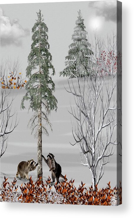 Raccoon Acrylic Print featuring the mixed media Raccoons in the Wild Winter Forest Color by David Dehner