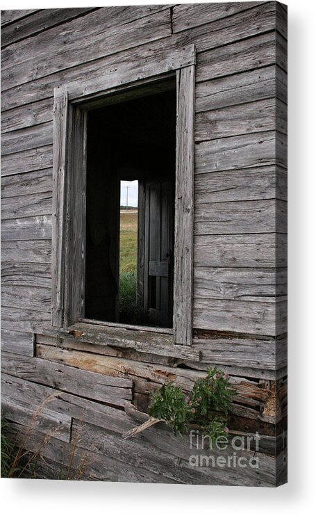 House Acrylic Print featuring the photograph Recaptured Life by Mary Mikawoz