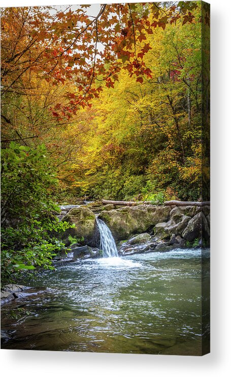 Carolina Acrylic Print featuring the photograph Red Maples over the Waterfall by Debra and Dave Vanderlaan
