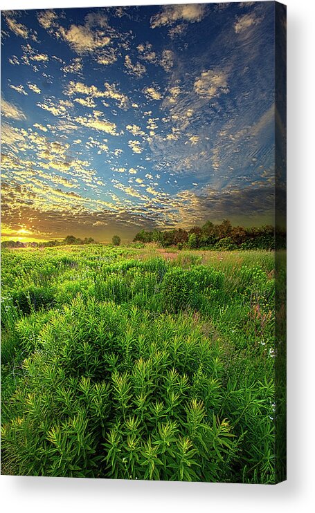 Fineart Acrylic Print featuring the photograph Revive Your Heart by Phil Koch