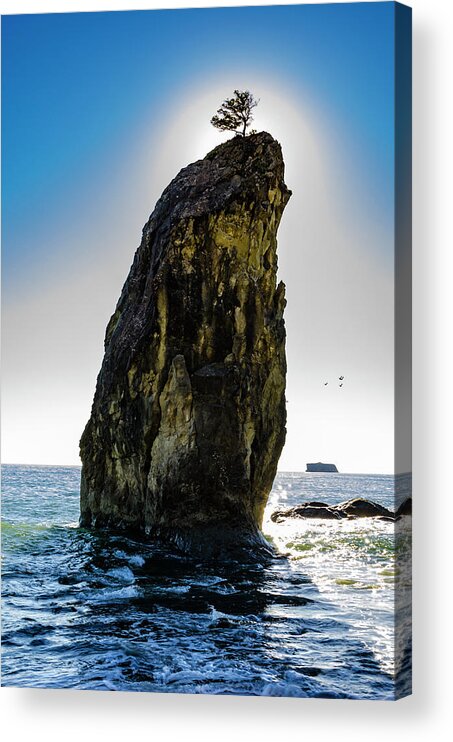 Scenery Acrylic Print featuring the photograph Rialto Beach Sea Stack 2 by Pelo Blanco Photo