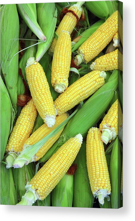 Corn Acrylic Print featuring the photograph Ripe Corn - Food Background by Mikhail Kokhanchikov