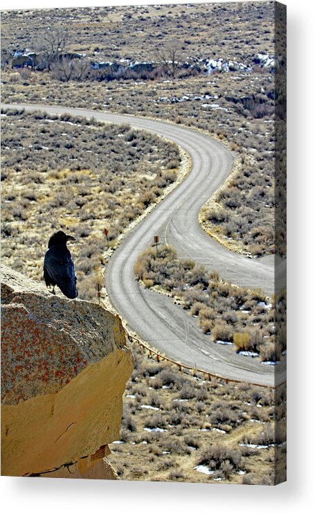 Usa Acrylic Print featuring the photograph Road Watcher by Jennifer Robin