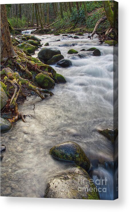  Acrylic Print featuring the photograph Roadside Creek 3 by Phil Perkins