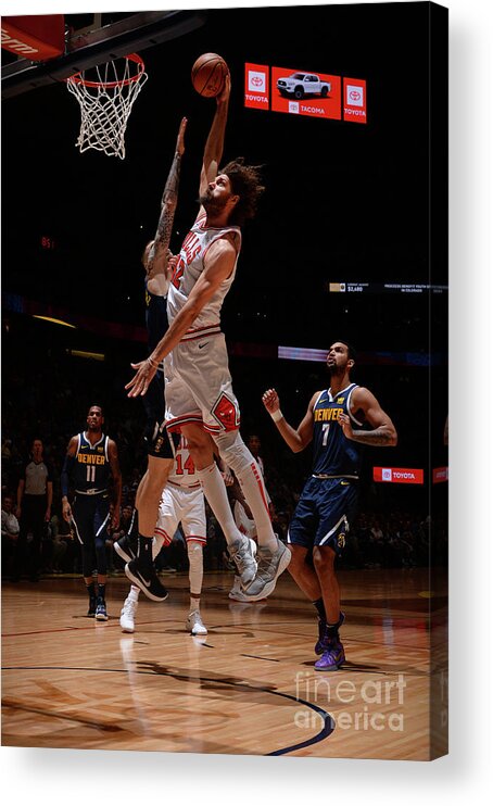 Nba Pro Basketball Acrylic Print featuring the photograph Robin Lopez by Bart Young