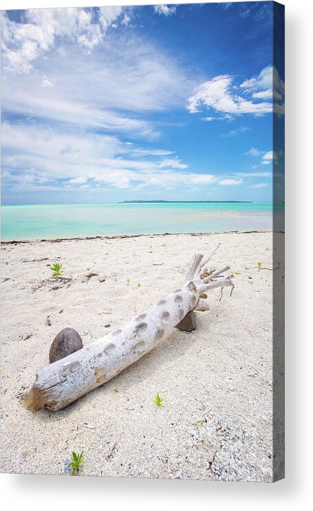 Driftwood Acrylic Print featuring the photograph Robinson Crusoe's Living Room by Becqi Sherman