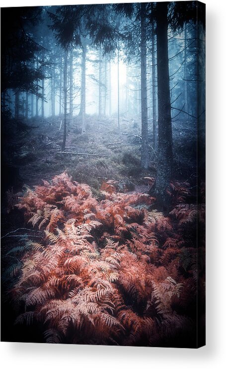 Wood Acrylic Print featuring the photograph Rusty Wood by Philippe Sainte-Laudy