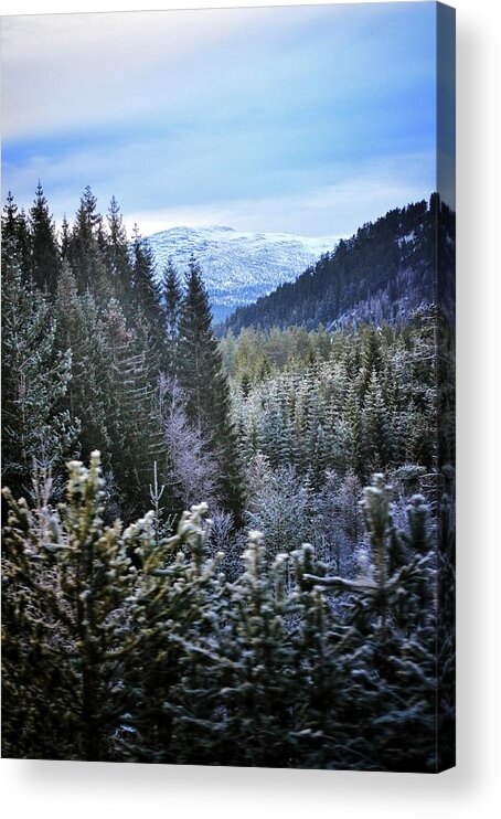 Tranquility Acrylic Print featuring the photograph Scenic view of nature by Kristin Braend / FOAP