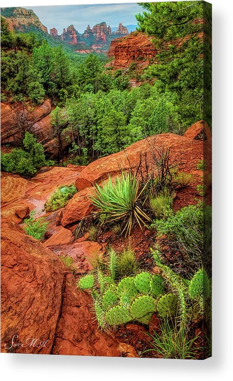 Red Rocks Acrylic Print featuring the photograph Schnebly Hill 07-057 by Scott McAllister