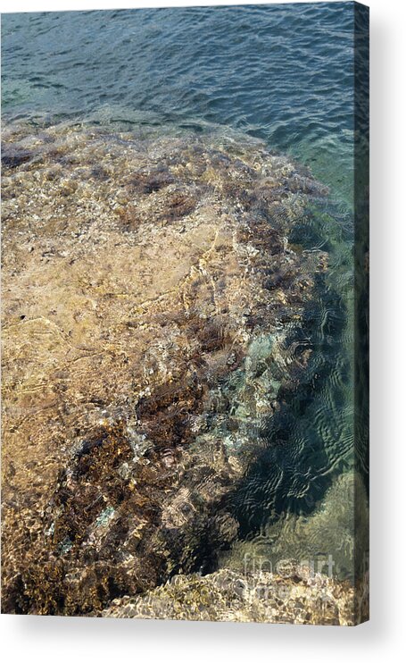 Mediterranean Acrylic Print featuring the photograph Sea water and rocks in a cove on the Mediterranean coast by Adriana Mueller