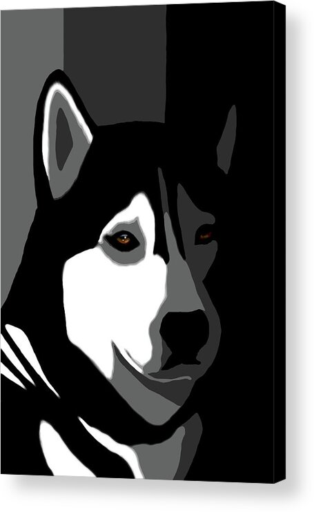 Dog Acrylic Print featuring the mixed media Siberian Husky Dog 162 by Lucie Dumas