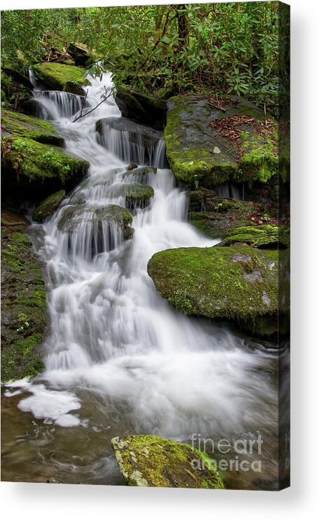 Little River Acrylic Print featuring the photograph Small Waterfalls 6 by Phil Perkins