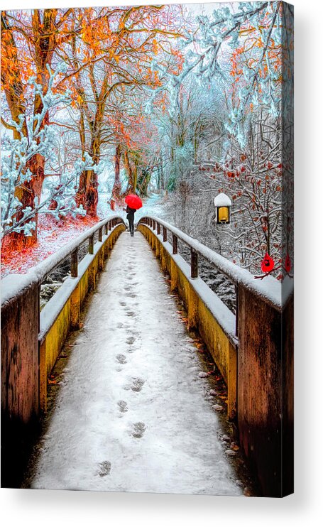 Carolina Acrylic Print featuring the photograph Snowy Walk by Debra and Dave Vanderlaan