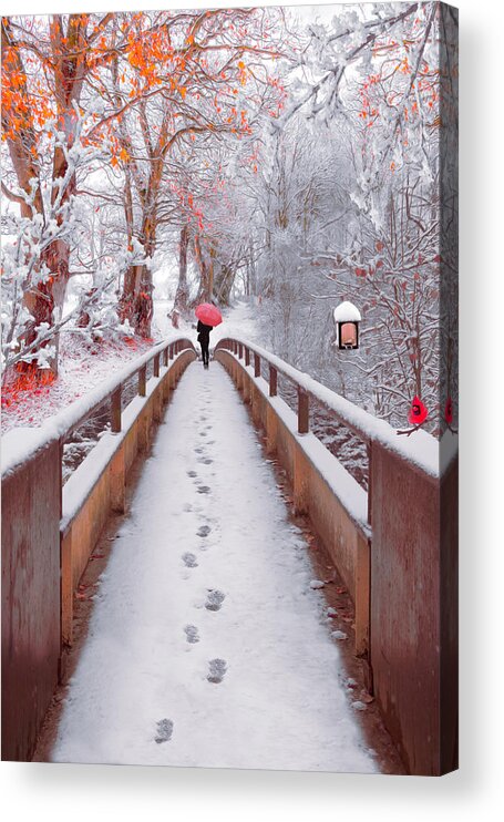 Carolina Acrylic Print featuring the photograph Snowy Walk Painting by Debra and Dave Vanderlaan