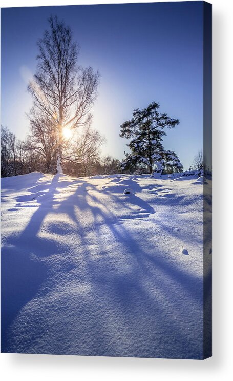 Winter Acrylic Print featuring the photograph Snowy Winter Landscape by Nicklas Gustafsson