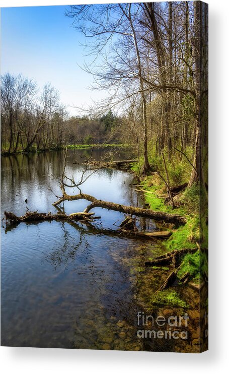 River; Reflection; South Holston; Tennesseee; Northeast Tennessee; Spring; Springtime; Green; Blue; Grass; Tree; Trees; Reflections; Cloud; Clouds; Water; Stream; Tributary; Rock; Rocks; Outdoor Photography Acrylic Print featuring the photograph South Holston River by Shelia Hunt
