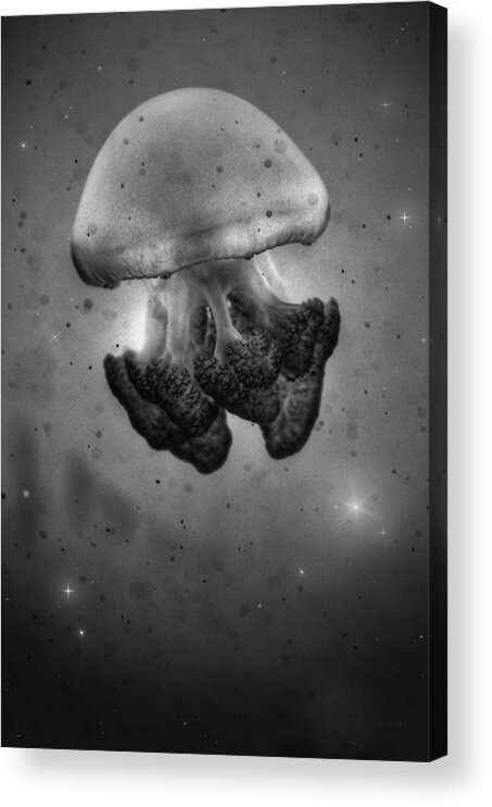 Space Bound Acrylic Print featuring the photograph Space Bound 2 by Marianna Mills