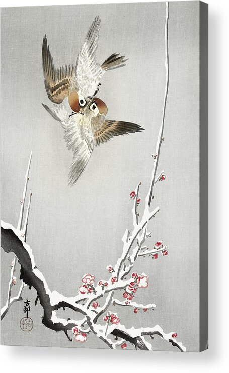 Bird Acrylic Print featuring the painting Sparrows and snowy plum tree by Ohara Koson