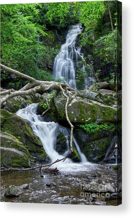 Spruce Flats Falls Acrylic Print featuring the photograph Spruce Flats Falls 20 by Phil Perkins